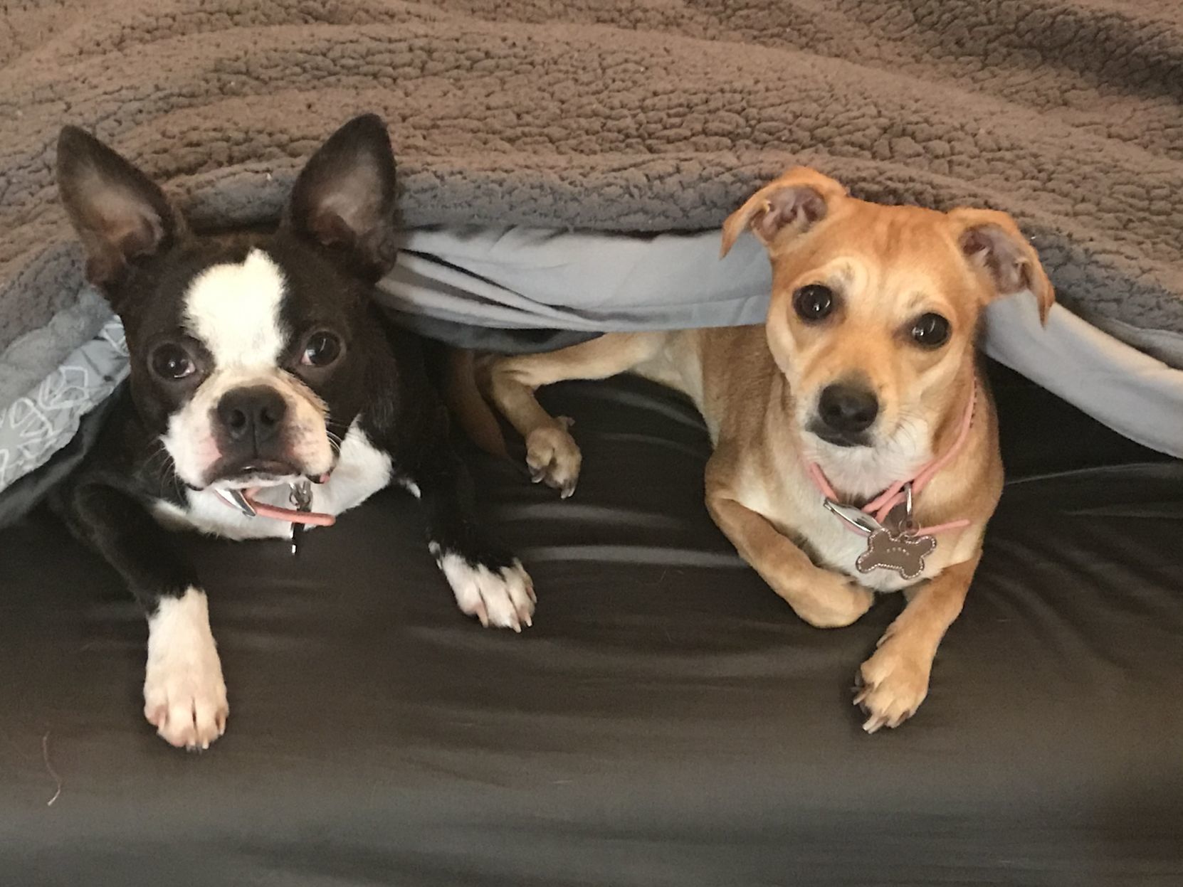 Missy and Melody